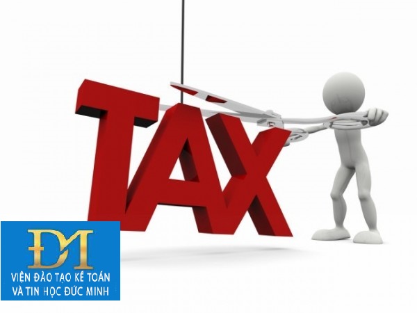 Hướng dẫn một số vướng mắc về khai thuế và khai bổ sung hồ sơ khai thuế (phần 3)